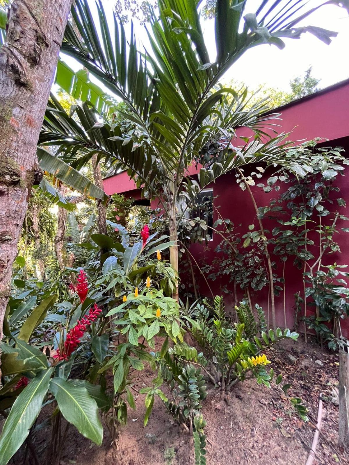 Jardim Botanico Casa Rossa Bungalows & Apartments Morro de São Paulo Buitenkant foto