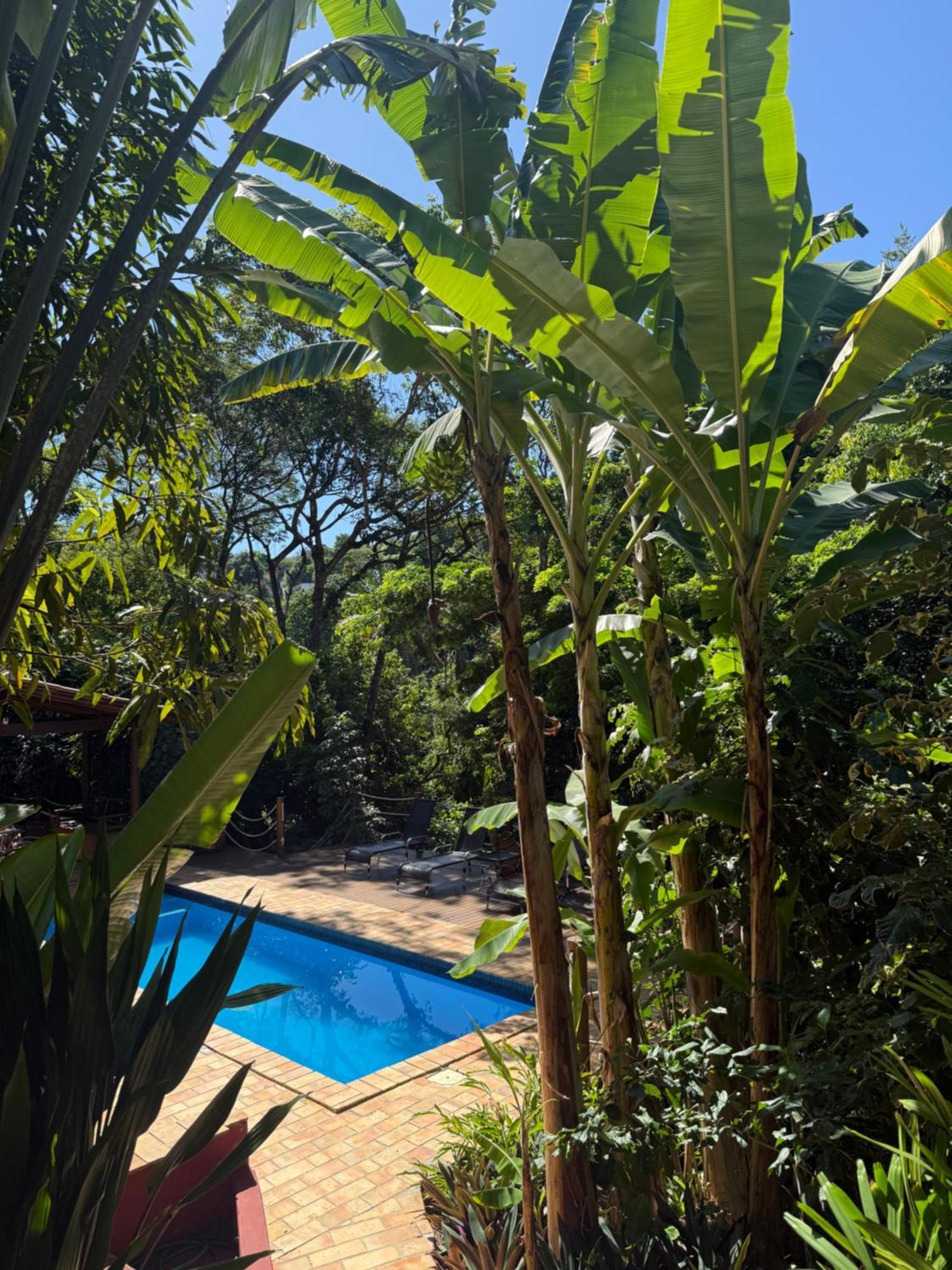 Jardim Botanico Casa Rossa Bungalows & Apartments Morro de São Paulo Buitenkant foto